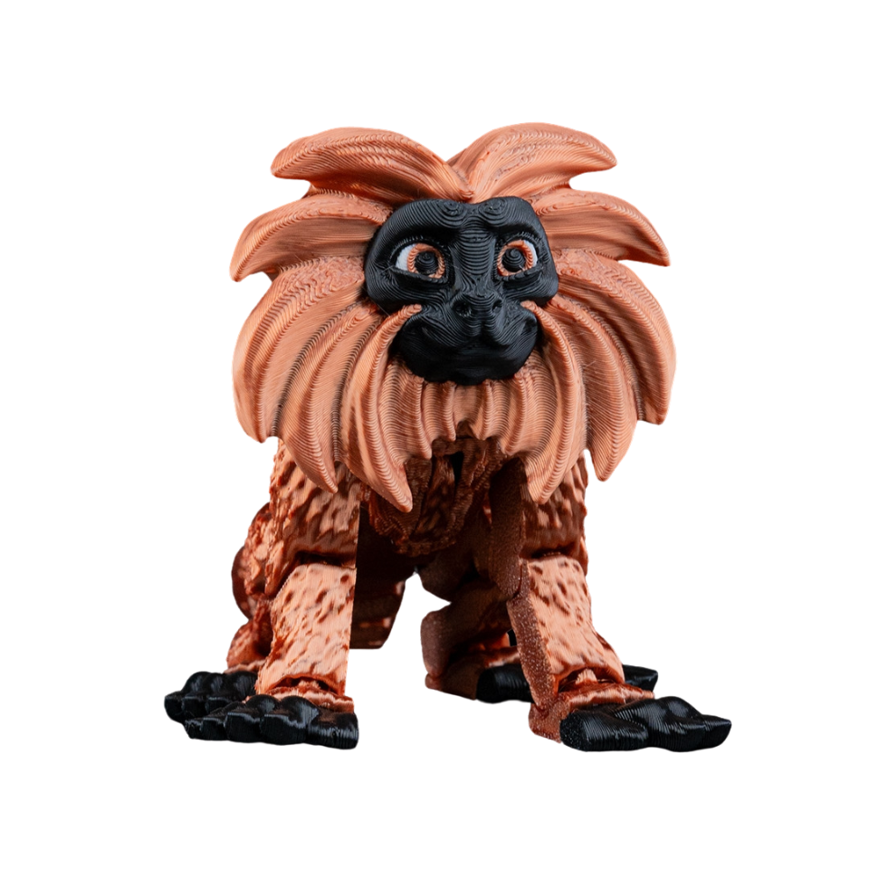Golden Lion Tamarin