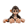Baby Chimp